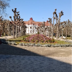 Svetlana