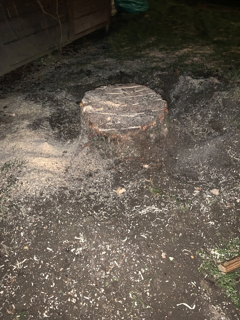 Работа портфолио - Kaceni stromu - фото 4