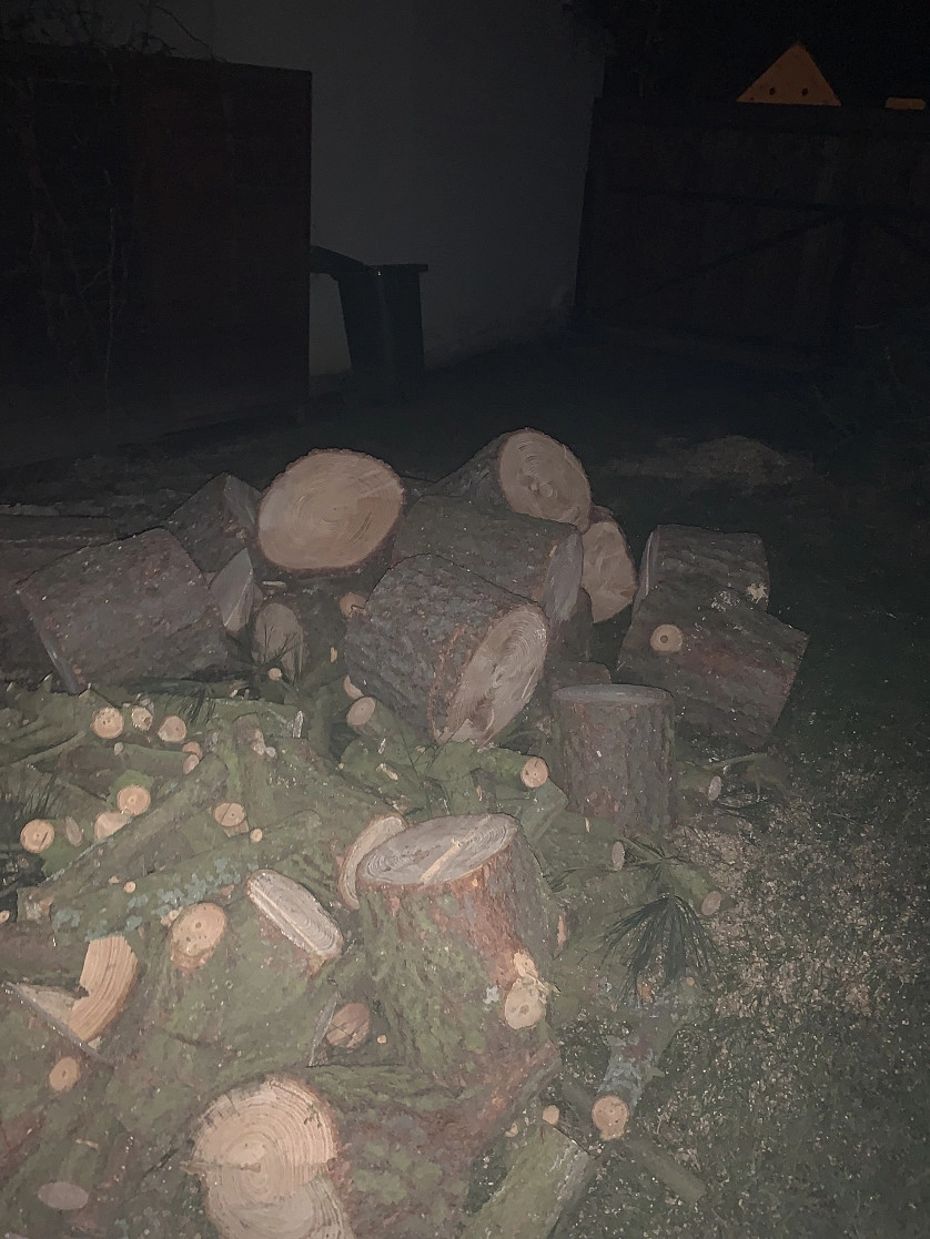 Práce v portfoliu - Kaceni stromu