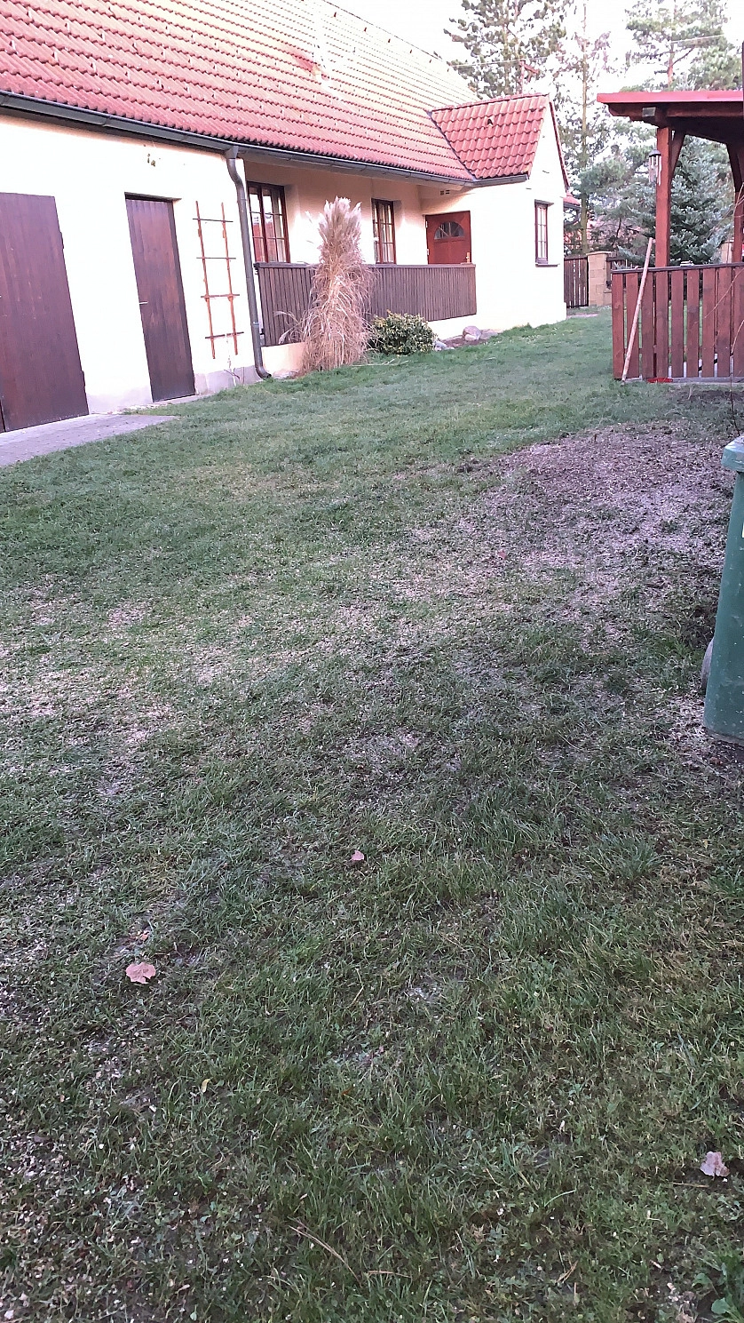 Работа портфолио - Kaceni stromu - фото 5