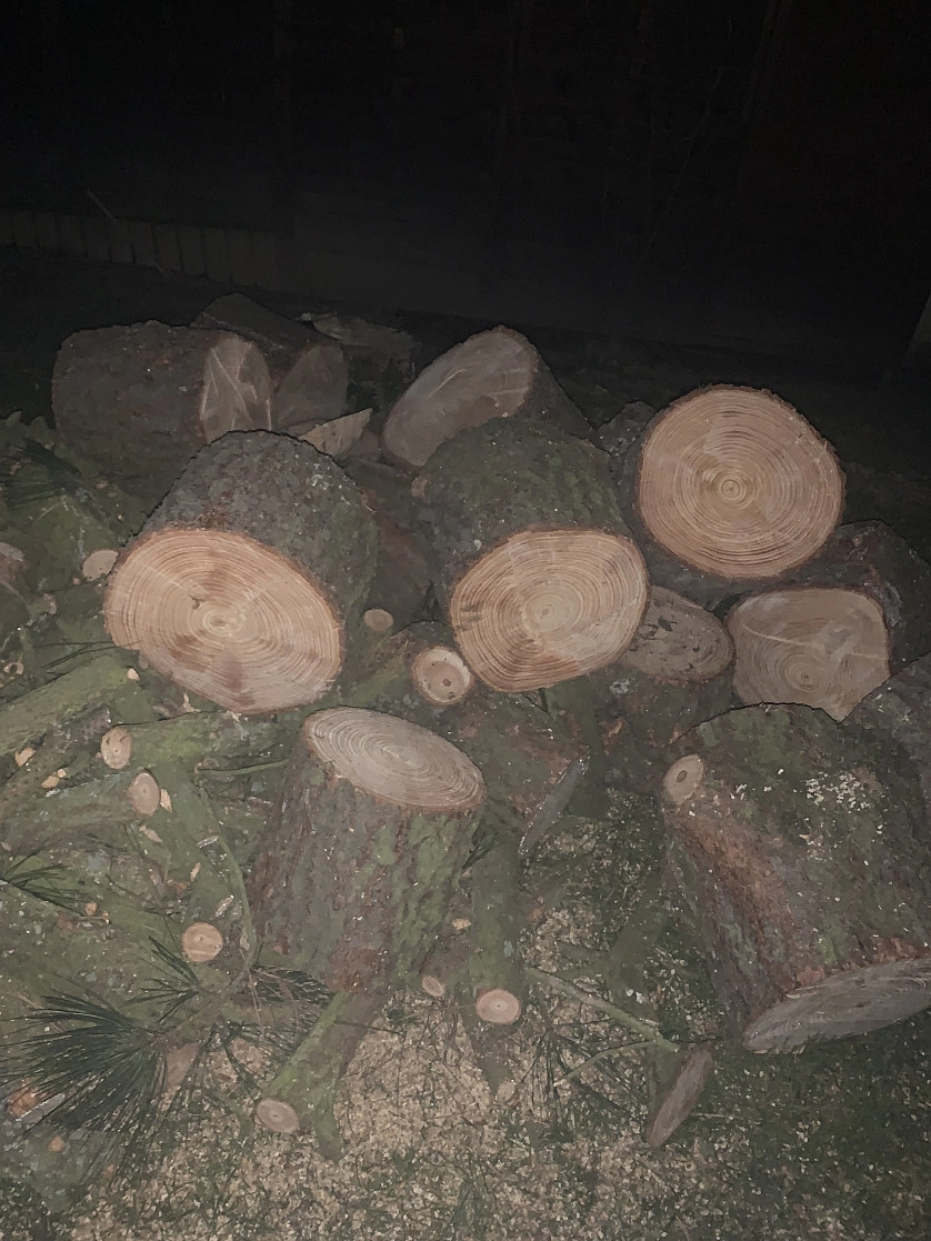 Работа портфолио - Kaceni stromu - фото 2