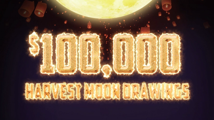 Práce v portfoliu - Custom animation - fotografie 4