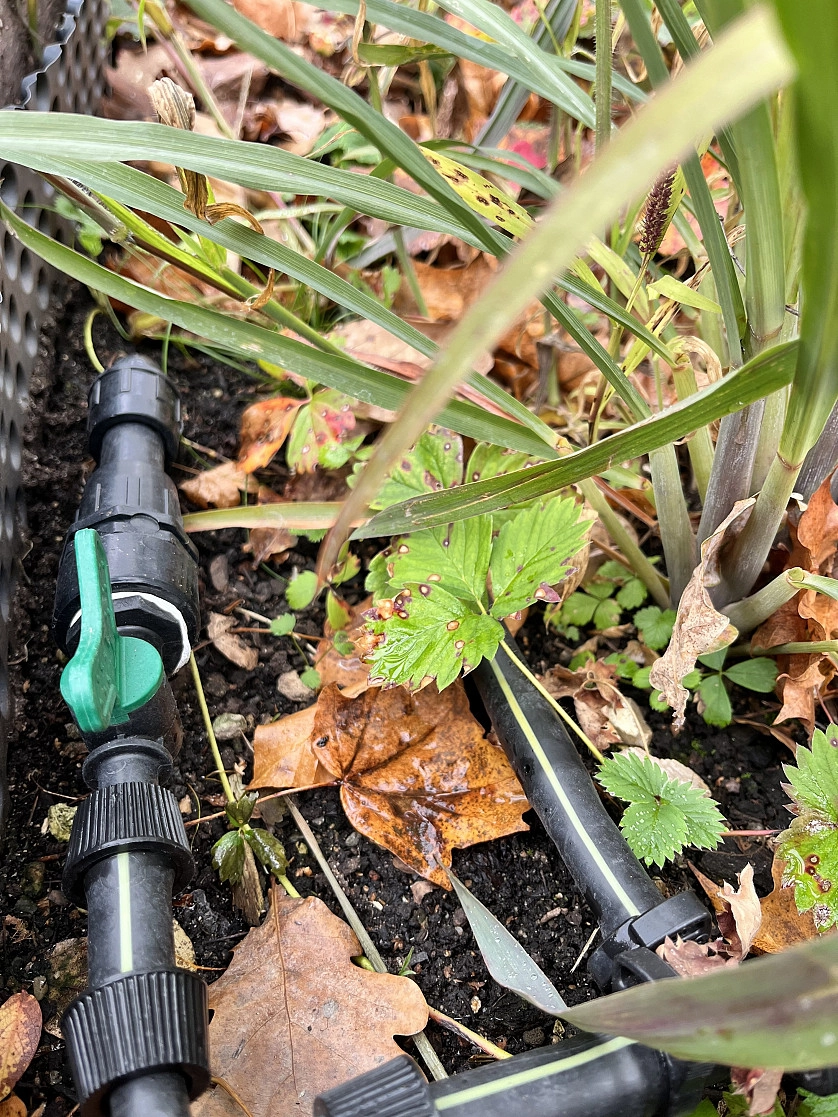 Работа портфолио - Závlaha 250m2