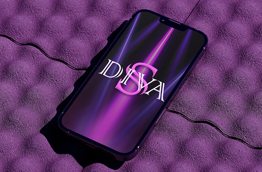 Práce v portfoliu - Logo for show ballet - fotografie 3