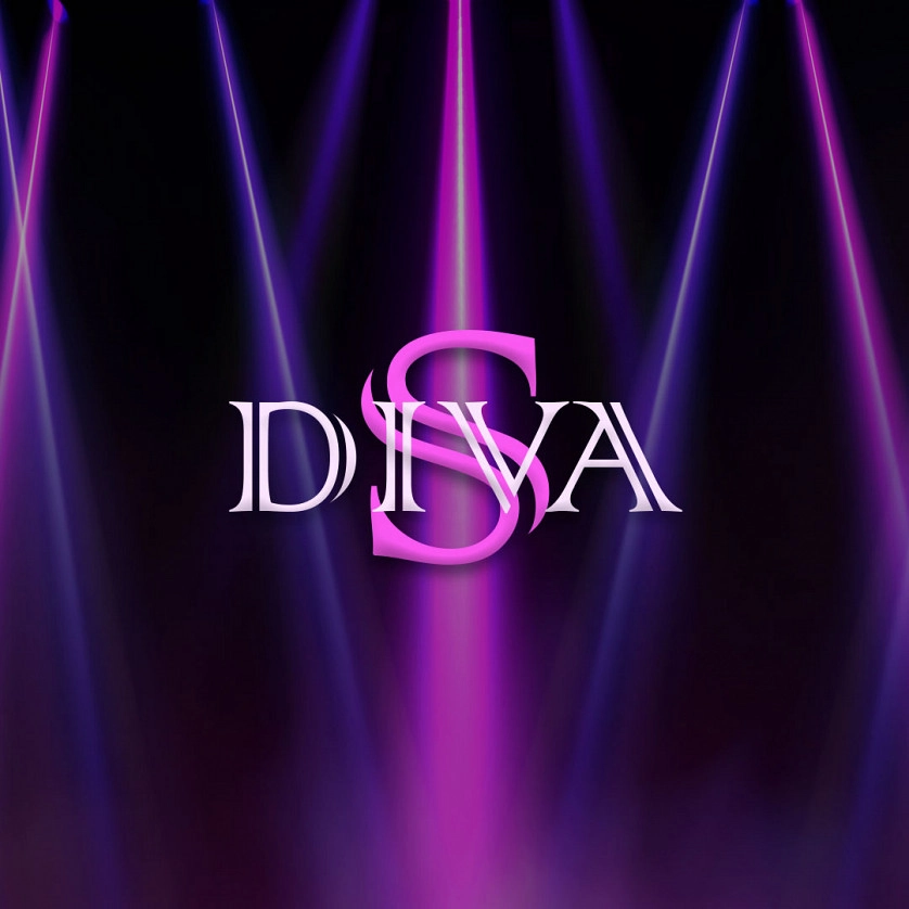 Práce v portfoliu - Logo for show ballet