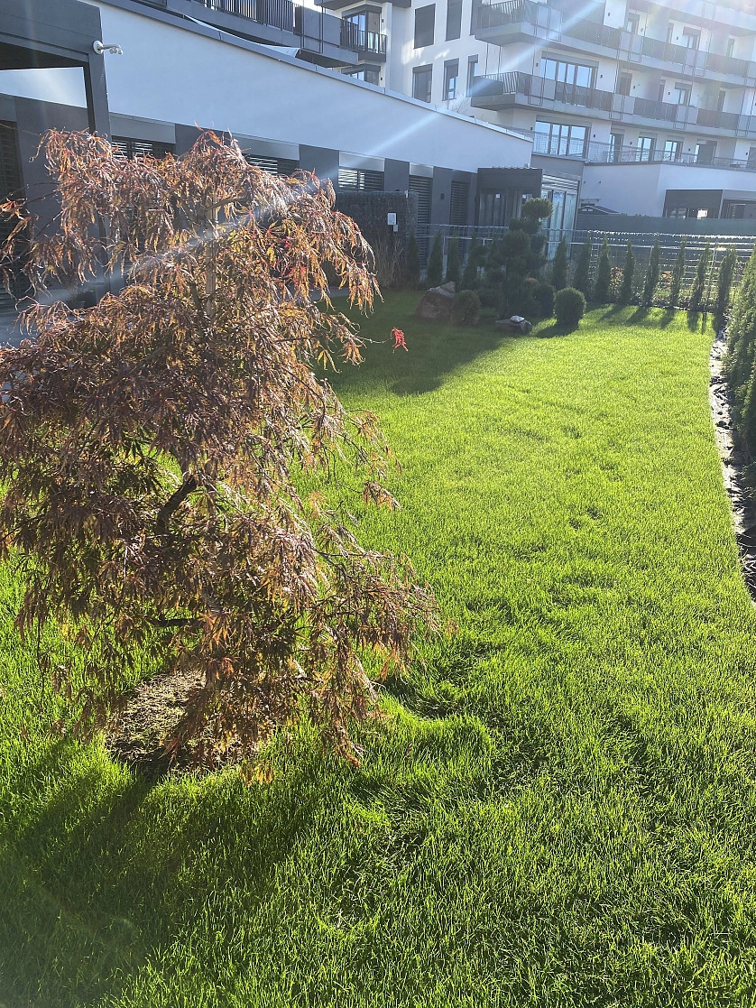 Práce v portfoliu - Озеленение - fotografie 4