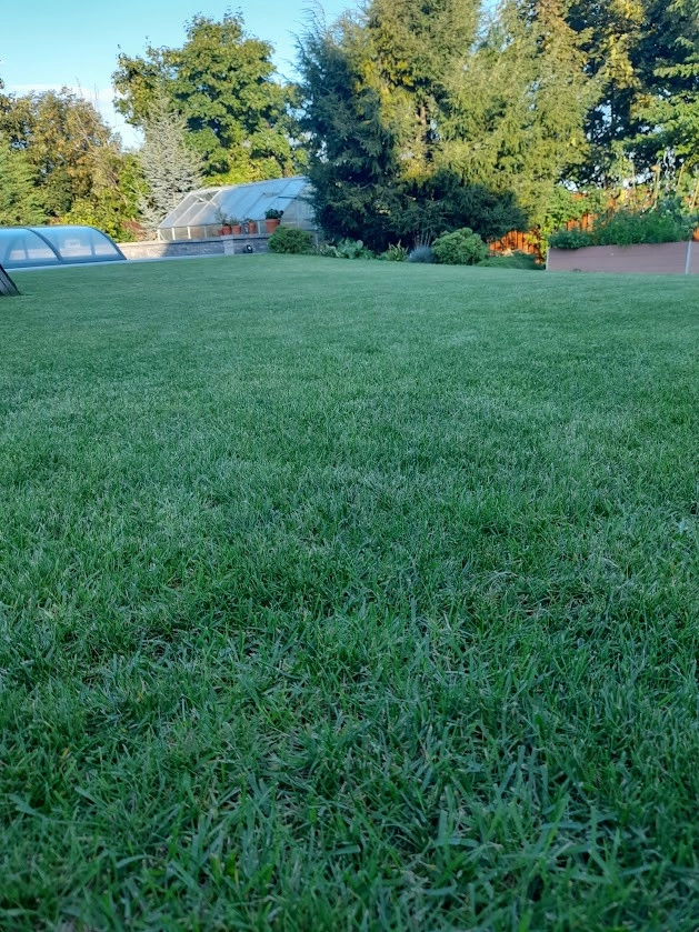 Práce v portfoliu - Уборка и обновление входной зоны, покос газона