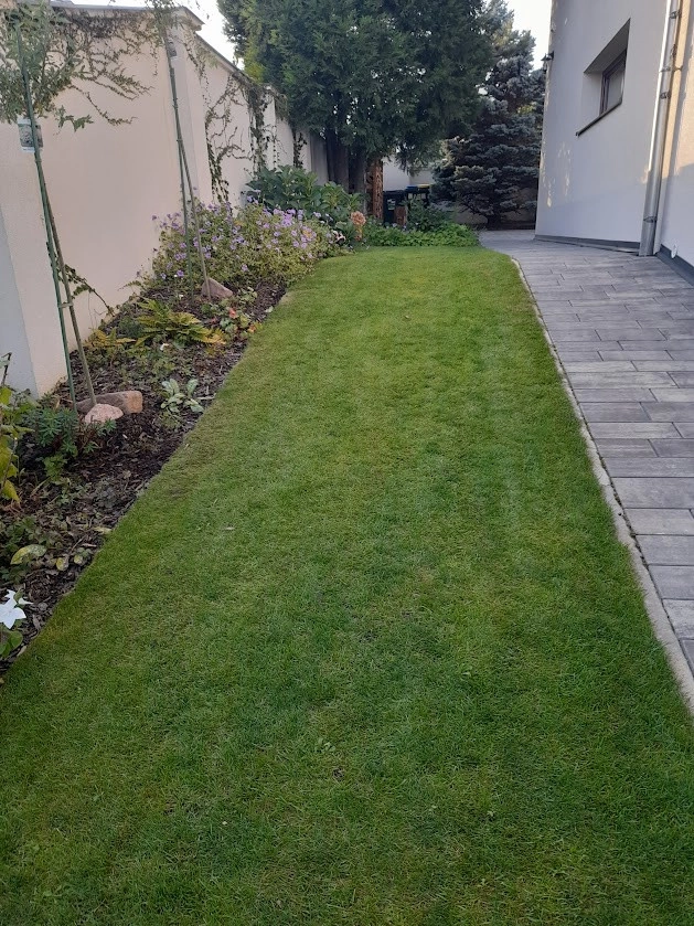 Práce v portfoliu - Уборка и обновление входной зоны, покос газона - fotografie 4