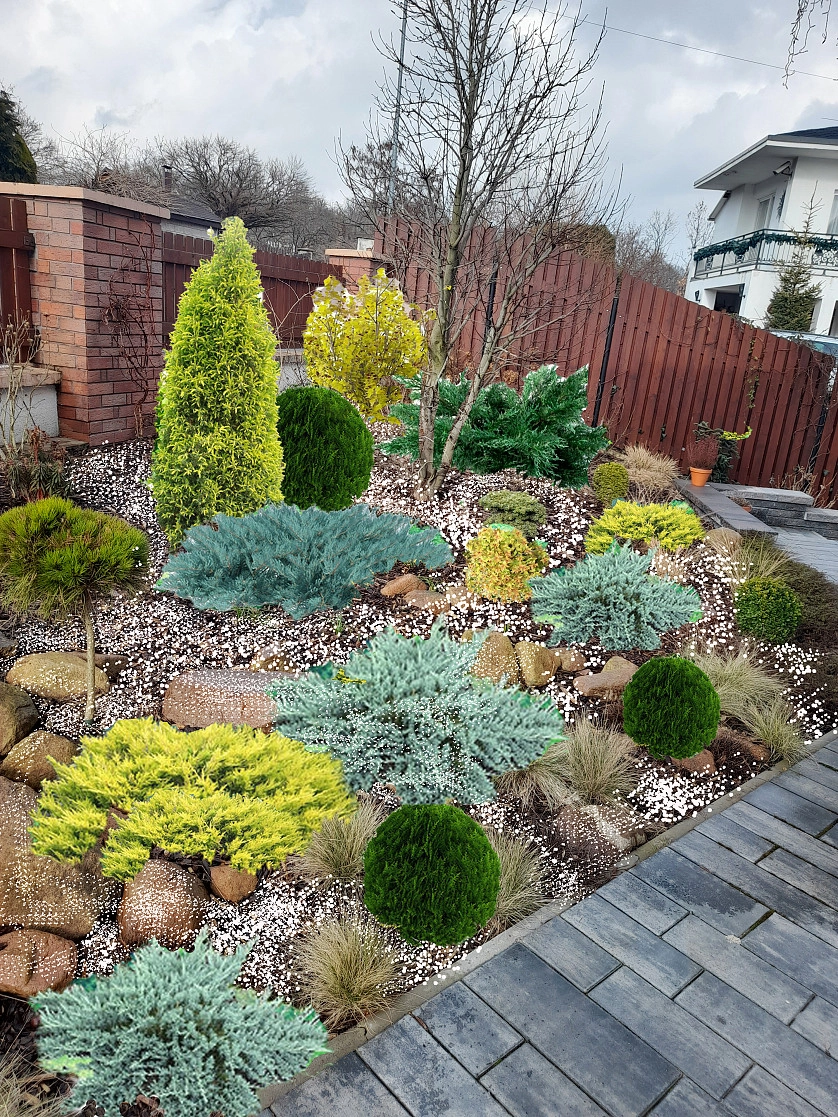 Práce v portfoliu - Уборка и обновление входной зоны, покос газона - fotografie 6