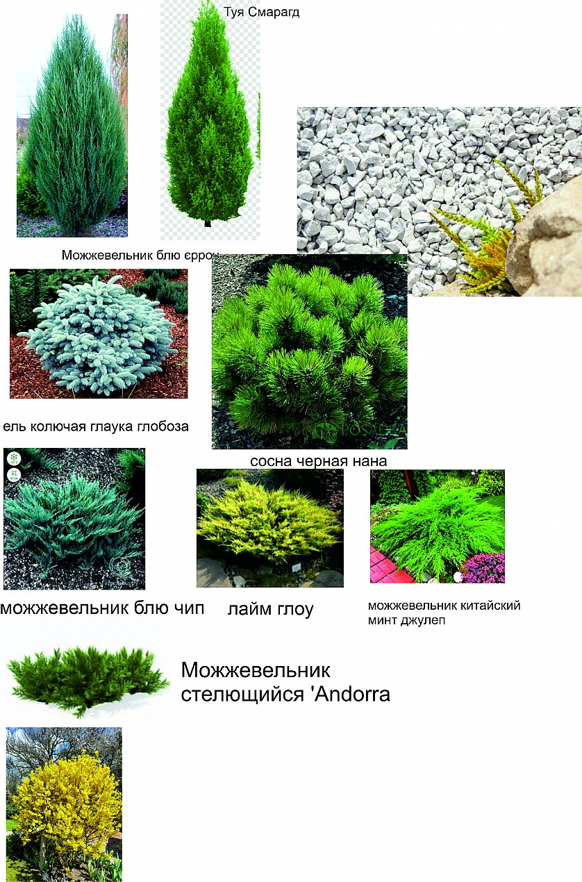 Práce v portfoliu - Создание нового ракария - fotografie 5