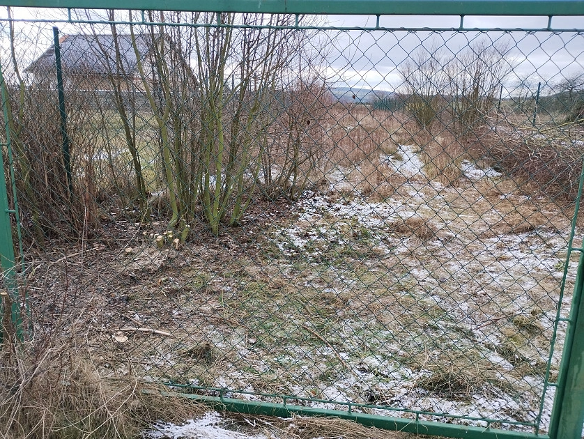 Práce v portfoliu - Údržby zahrad - fotografie 2