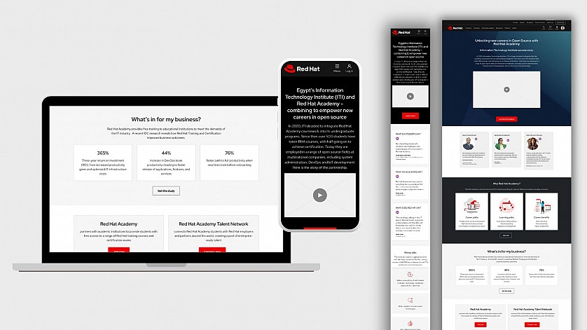 Portfolio work - Návrh moderních responzivních webových stránek a drátěných modelů - photo 2