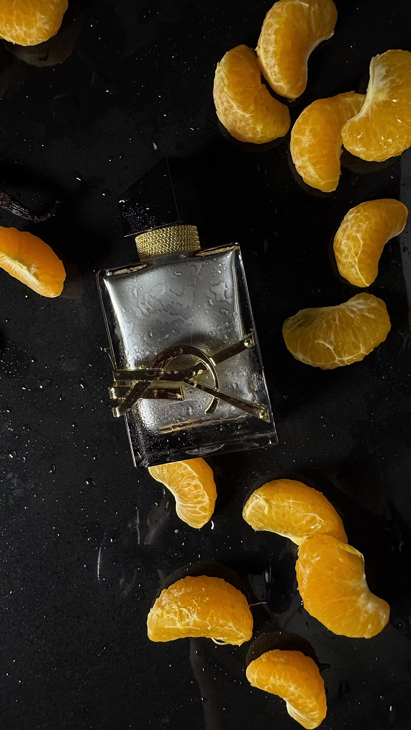 Práce v portfoliu - YSL