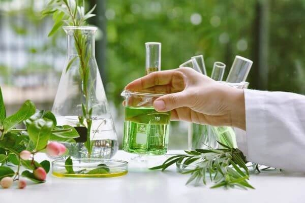 Portfolio work - Natural Sciences tutor
