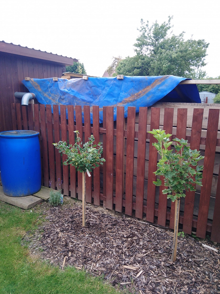 Portfolio work - Vybudování nového dřevěného plotu - photo 4