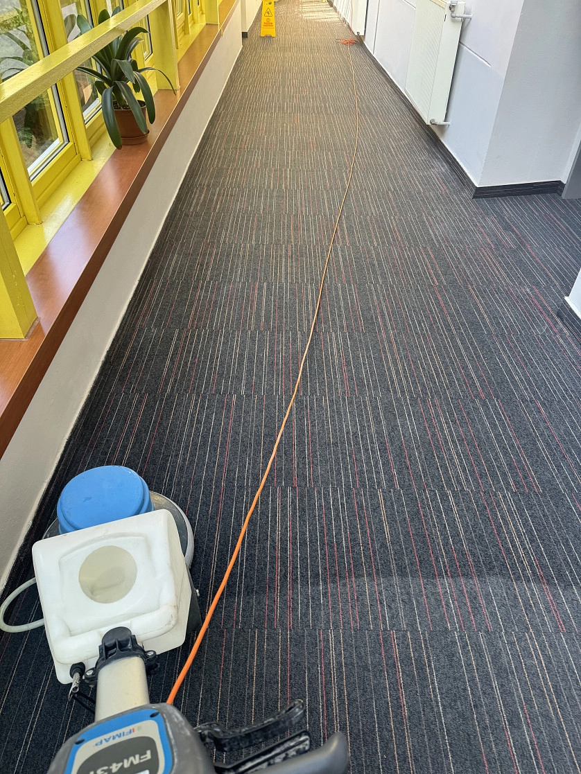 Práce v portfoliu - Extrakčni čišténi kobercú - fotografie 2