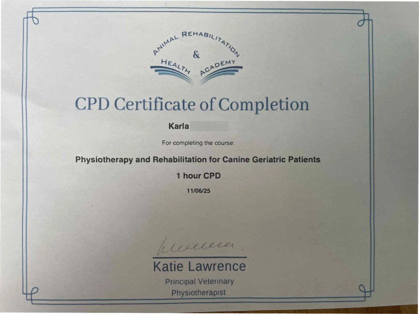 Práce v portfoliu - certifikáty