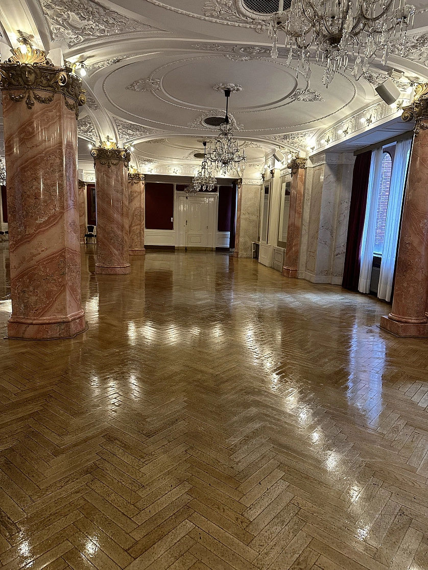 Работа портфолио - Úklid mramorového sálu - фото 6